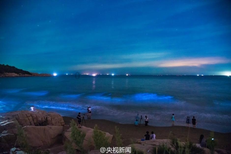 营救小乌龟