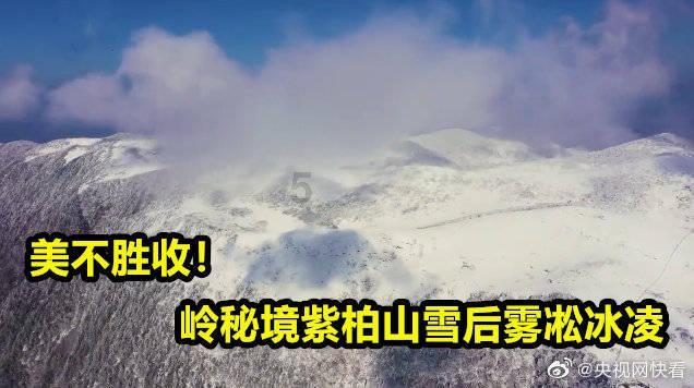 虫虫助手下载