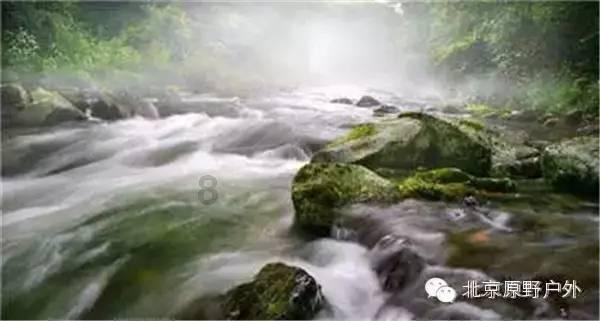 蛋糕物语