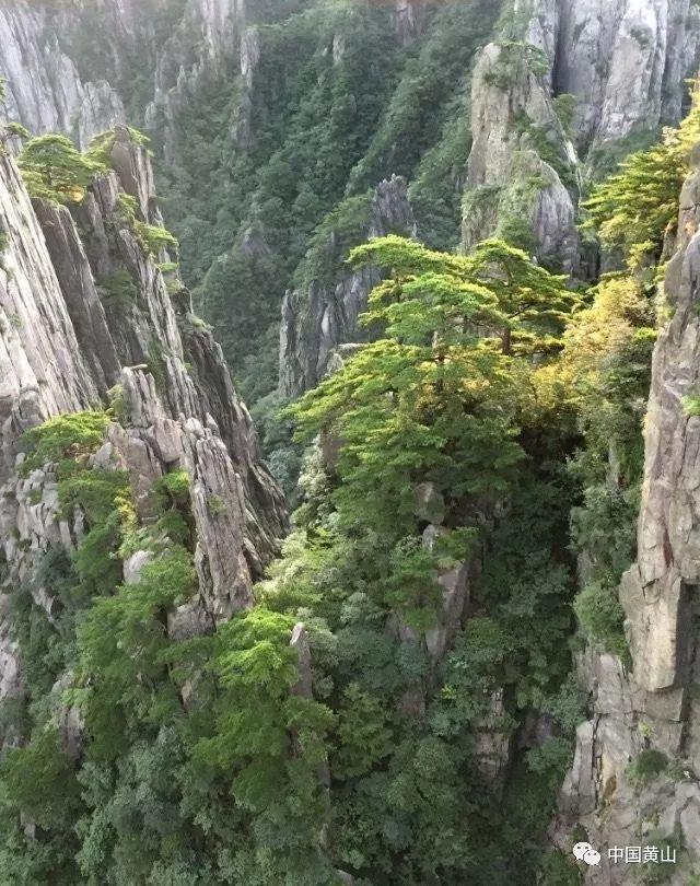 大家游戏怎么多开，有没有办法游戏画面