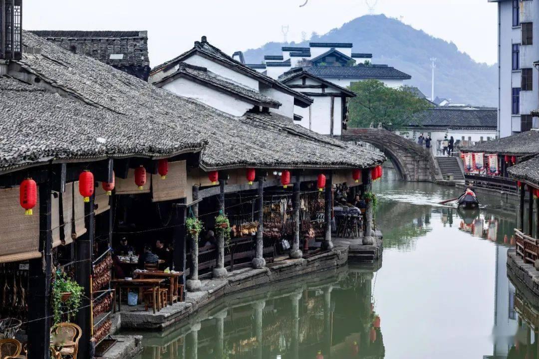 逗小猴开心系列202